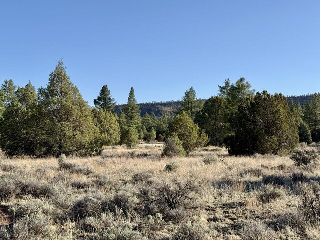 LOT21 Cottonwood Ln, Ramah, NM 87321