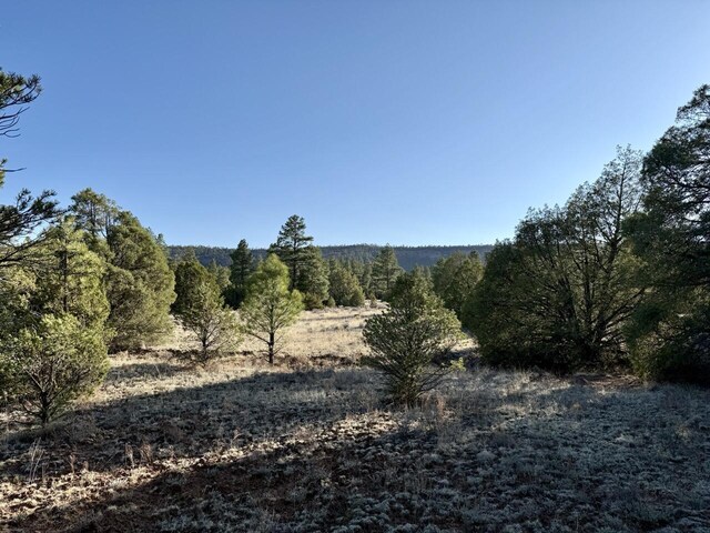 LOT21 Cottonwood Ln, Ramah, NM 87321