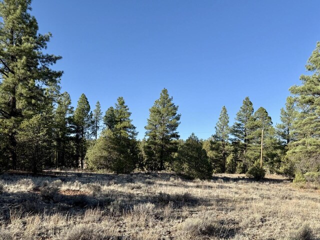 LOT21 Cottonwood Ln, Ramah, NM 87321