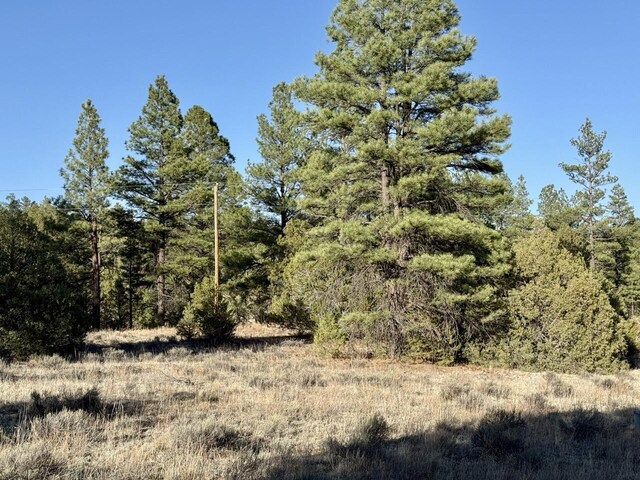 LOT21 Cottonwood Ln, Ramah, NM 87321