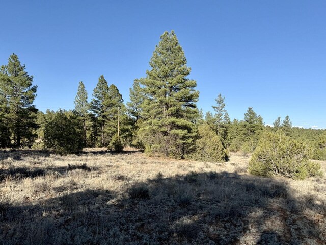 LOT21 Cottonwood Ln, Ramah, NM 87321