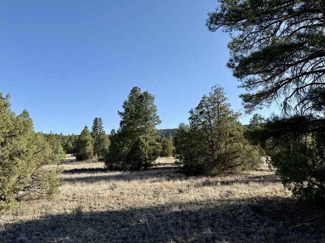 LOT21 Cottonwood Ln, Ramah, NM 87321
