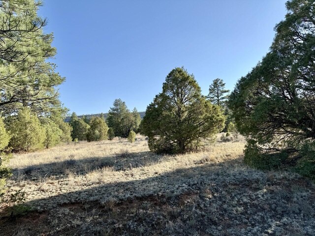LOT21 Cottonwood Ln, Ramah, NM 87321