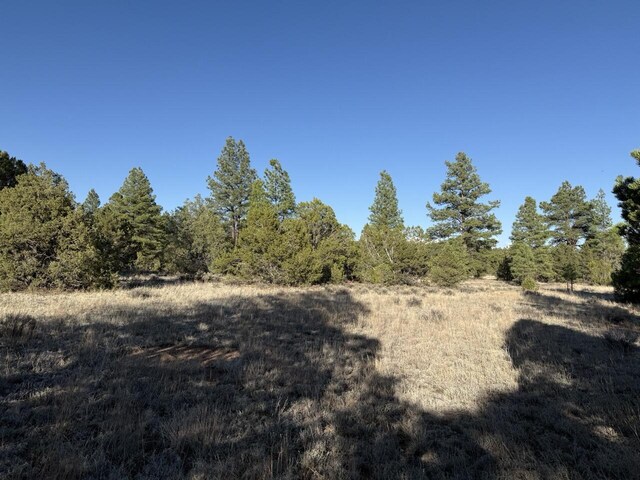 LOT21 Cottonwood Ln, Ramah, NM 87321