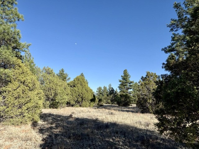 LOT21 Cottonwood Ln, Ramah, NM 87321