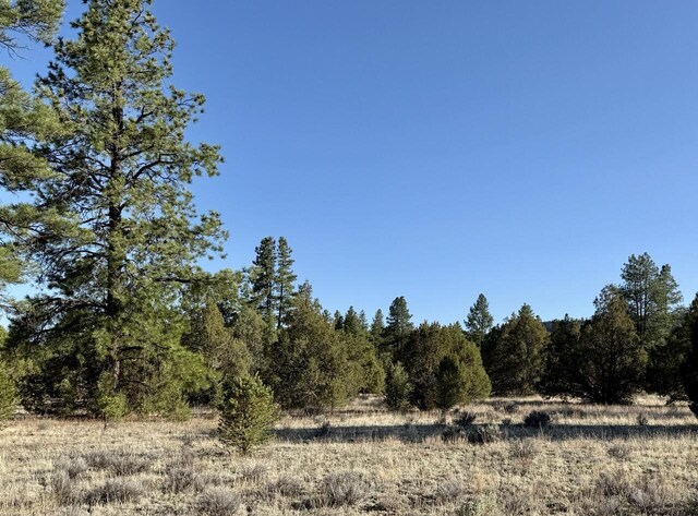 LOT21 Cottonwood Ln, Ramah, NM 87321