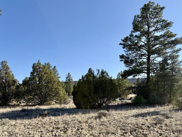 LOT21 Cottonwood Ln, Ramah, NM 87321