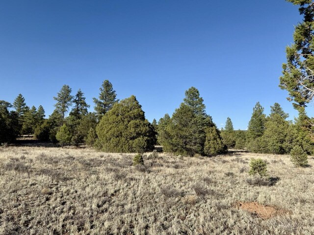 LOT21 Cottonwood Ln, Ramah, NM 87321