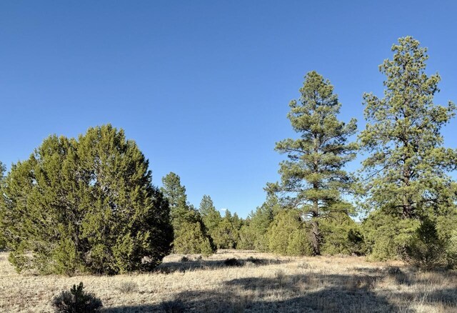 LOT21 Cottonwood Ln, Ramah, NM 87321