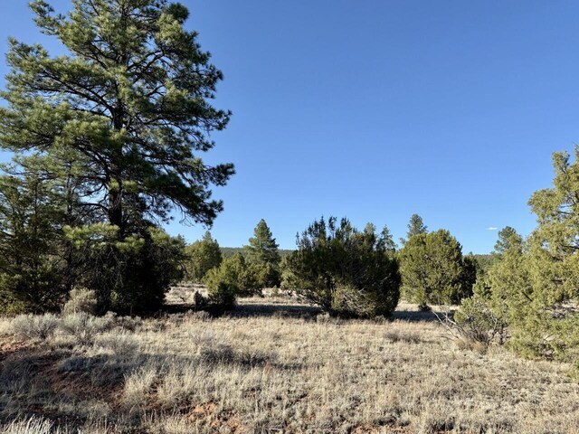 LOT21 Cottonwood Ln, Ramah, NM 87321