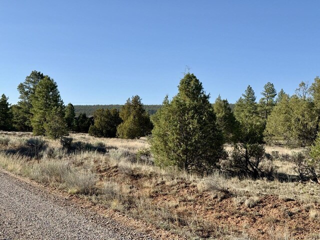 LOT21 Cottonwood Ln, Ramah, NM 87321