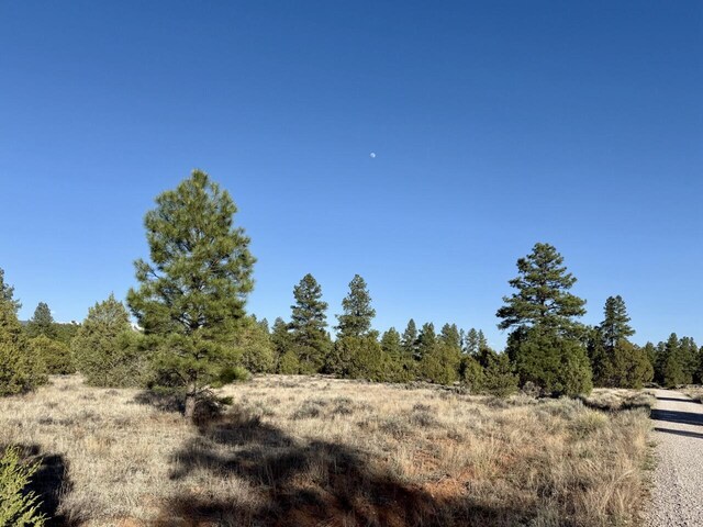 LOT21 Cottonwood Ln, Ramah, NM 87321