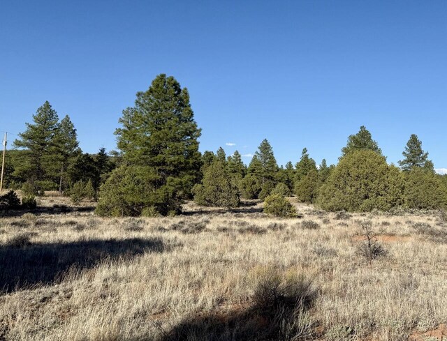 LOT21 Cottonwood Ln, Ramah, NM 87321