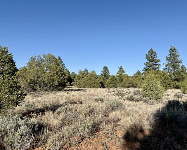 LOT21 Cottonwood Ln, Ramah, NM 87321