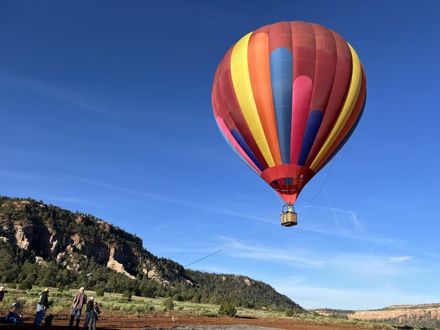 LOT21 Cottonwood Ln, Ramah, NM 87321