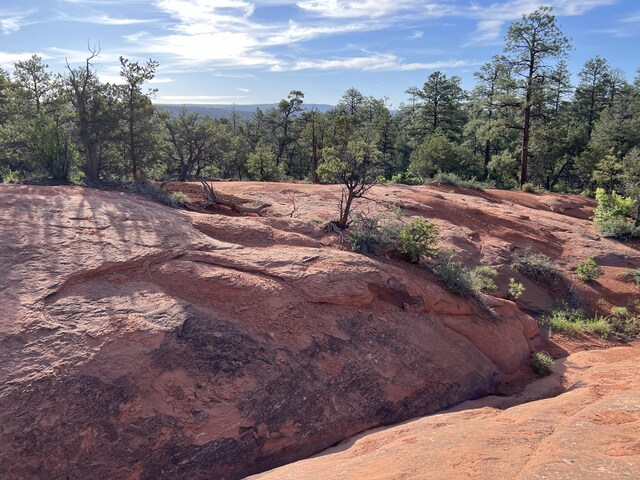 LOT21 Cottonwood Ln, Ramah, NM 87321