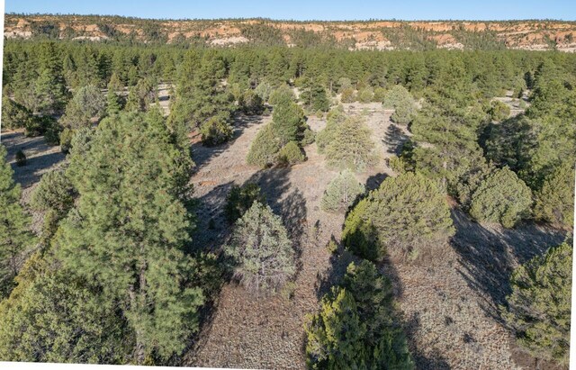LOT21 Cottonwood Ln, Ramah, NM 87321