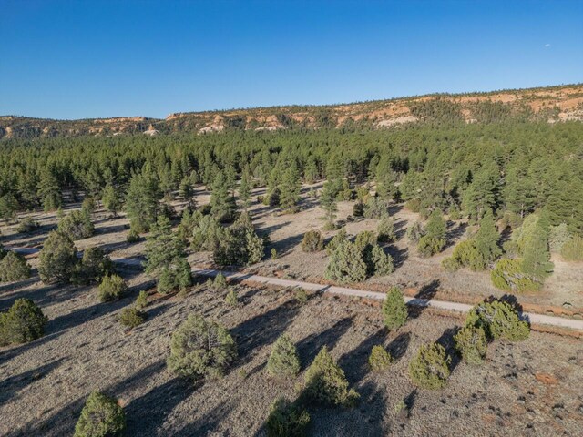 LOT21 Cottonwood Ln, Ramah, NM 87321