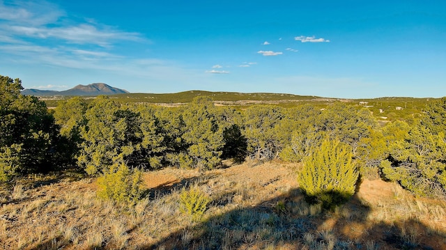 2 Cougar Ct, Tijeras, NM 87059 - photo 9