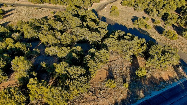 2 Cougar Ct, Tijeras, NM 87059 - photo 8