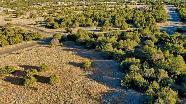 2 Cougar Ct, Tijeras, NM 87059 - photo 7