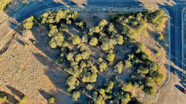2 Cougar Ct, Tijeras, NM 87059 - photo 6