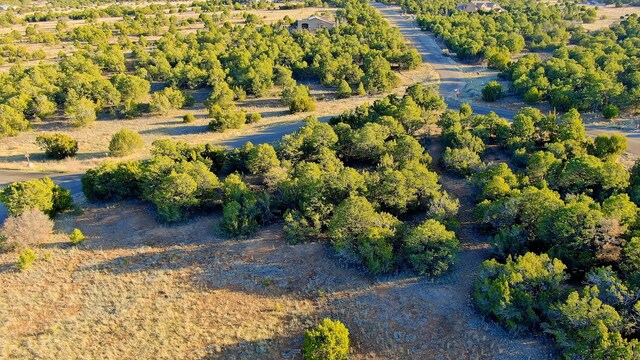 2 Cougar Ct, Tijeras, NM 87059 - photo 5