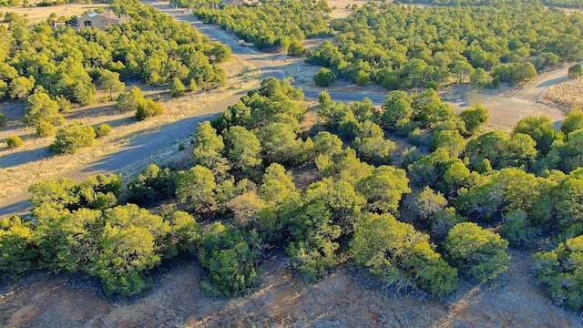 2 Cougar Ct, Tijeras, NM 87059 - photo 4
