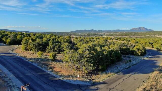 2 Cougar Ct, Tijeras, NM 87059 - photo 3