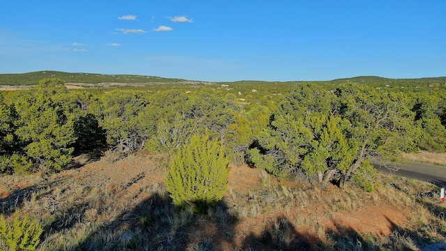 2 Cougar Ct, Tijeras, NM 87059 - photo 2