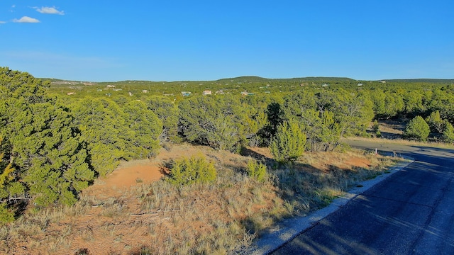 2 Cougar Ct, Tijeras, NM 87059 - photo 1