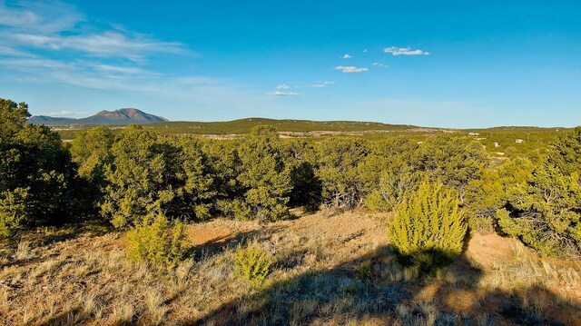 2 Cougar Ct, Tijeras, NM 87059 - photo 14