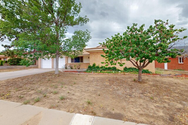 8506 Las Camas Rd NE, Albuquerque, NM 87111 - photo 31