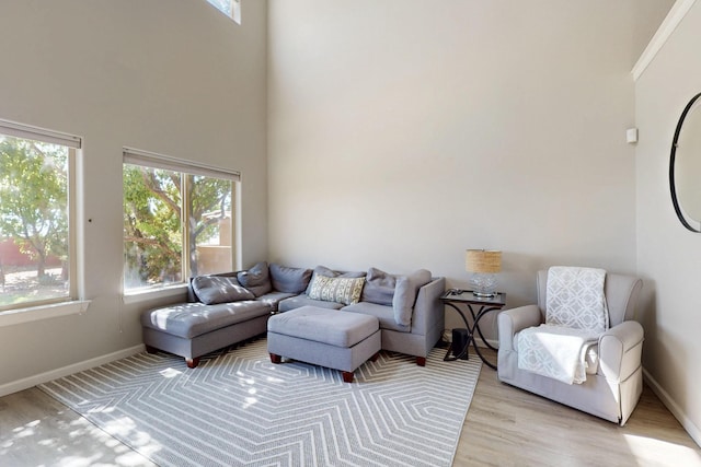 613 Loma Linda Loop NE, Rio Rancho, NM 87124 - living area with light wood-style floors and a high ceiling