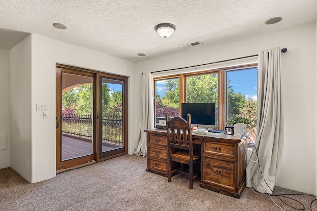 746 Chamisal Rd NW, Los Ranchos, NM 87107 - carpeted office featuring plenty of natural light and a textured ceiling