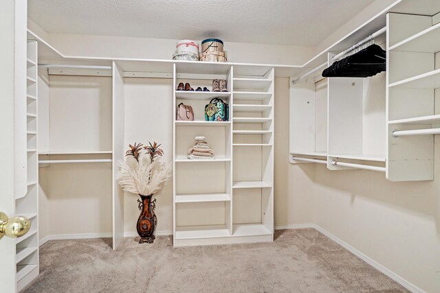 10644 Fountain Ct NW, Albuquerque, NM 87114 - photo 22