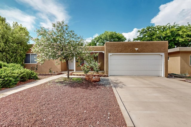 3615 Calle Del Sol NE, Albuquerque, NM 87110 - photo 3