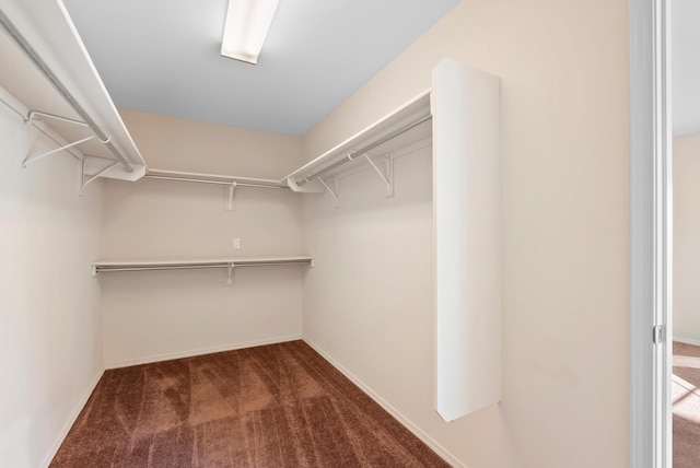 10431 Crosscut Dr NW, Albuquerque, NM 87114 - spacious closet with carpet