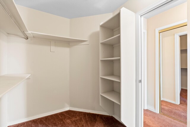 10431 Crosscut Dr NW, Albuquerque, NM 87114 - spacious closet featuring carpet floors