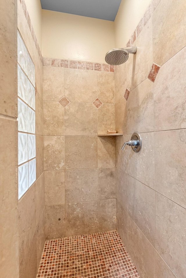 3 Seasons Cir, Placitas, NM 87043 - bathroom with tiled shower