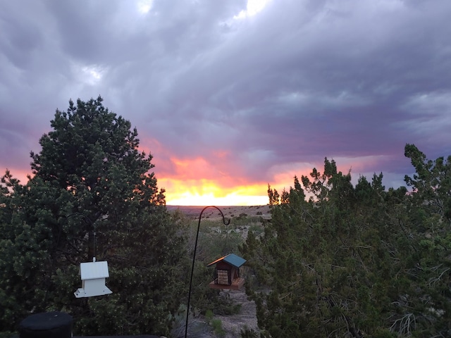 3 Seasons Cir, Placitas, NM 87043 - view of yard