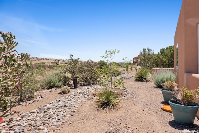 3 Seasons Cir, Placitas, NM 87043 - view of yard