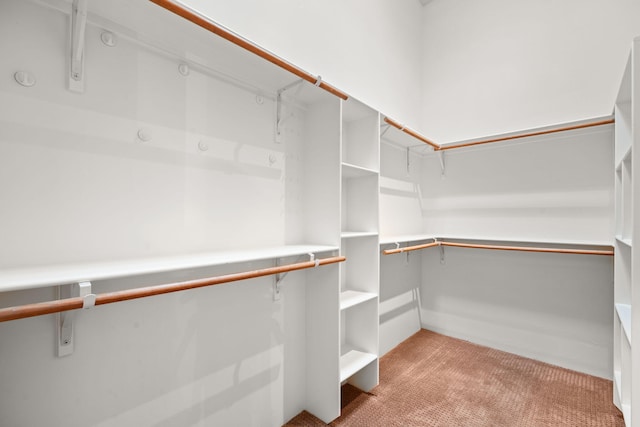 9005 4th St NW, Albuquerque, NM 87114 - photo 31