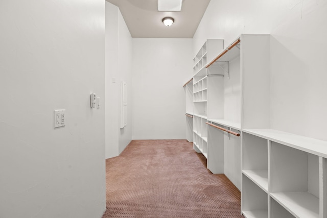 9005 4th St NW, Albuquerque, NM 87114 - walk in closet with light carpet