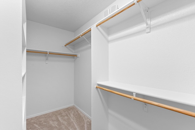 3912 Tundra Swan Ct NW, Albuquerque, NM 87120 - walk in closet featuring light carpet