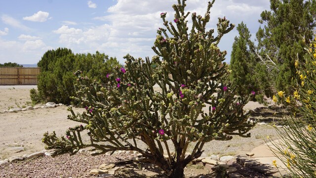39 Camino De La Questa Del Aire, Placitas, NM 87043 - photo 33