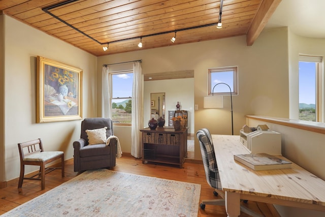 651 Calle De Blas, Corrales, NM 87048 - office area featuring rail lighting, wood ceiling, and hardwood / wood-style flooring