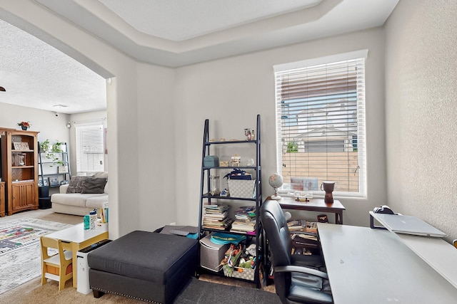 1501 Barbaro Dr SE, Albuquerque, NM 87123 - carpeted office space with a textured ceiling