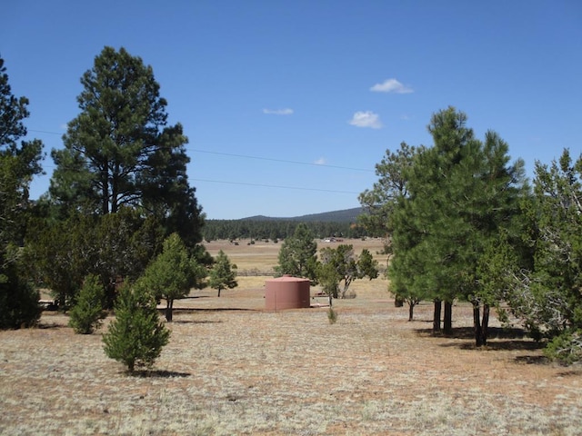 10 Cliff Rose Ct, Ramah, NM 87321