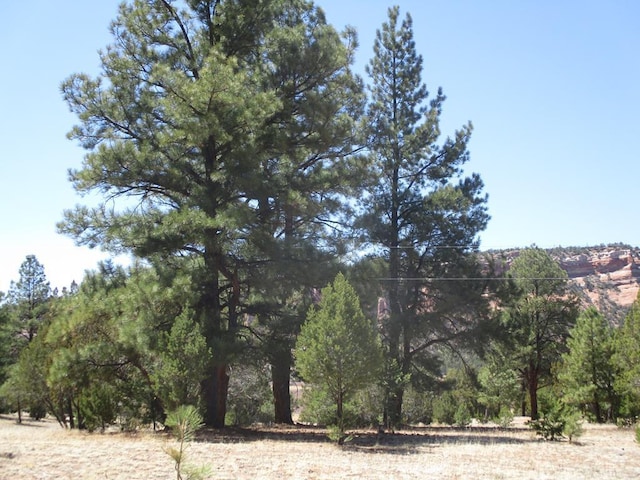 10 Cliff Rose Ct, Ramah, NM 87321
